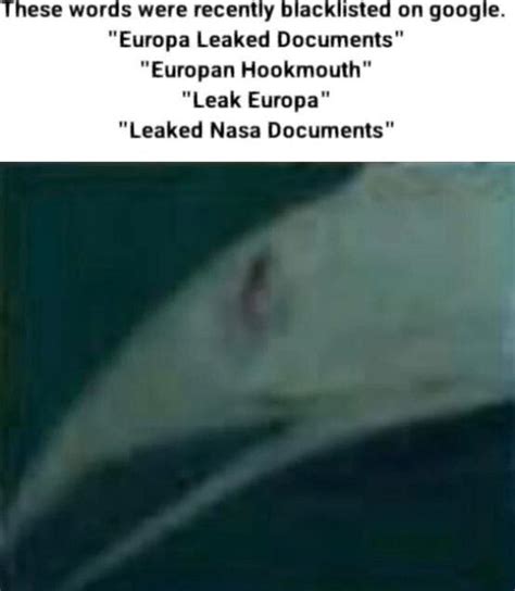 europan hookmouth|Were NASA Documents Leaked About Life On Europa And。